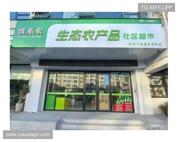 朝鲜族企业家创新发展之路与文化传承的双重挑战与机遇